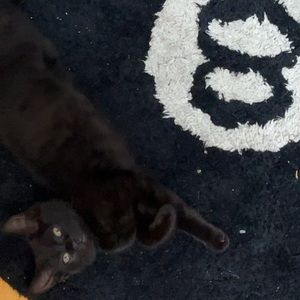 Meet your Posher, Derix